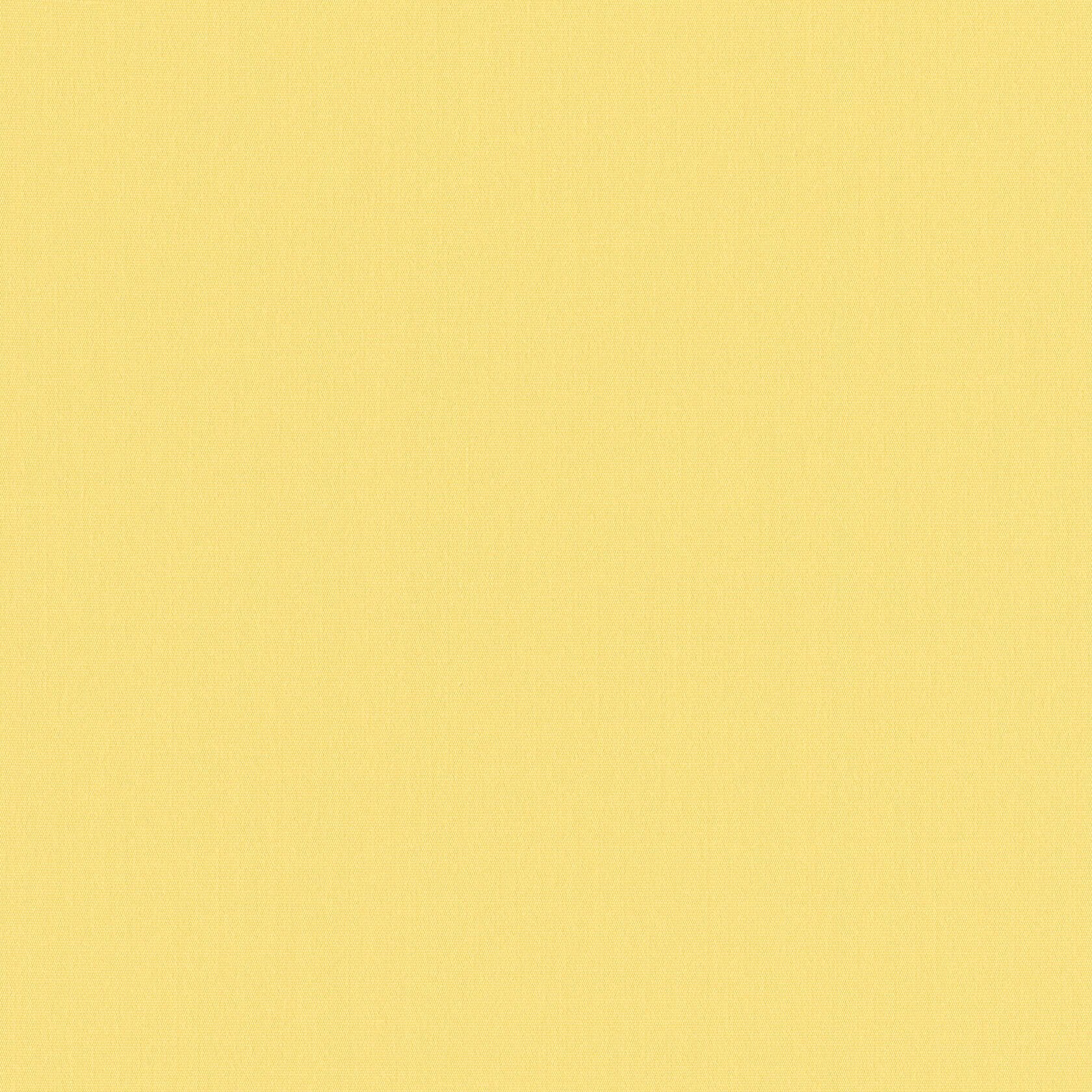 01272 Canvas Lemon