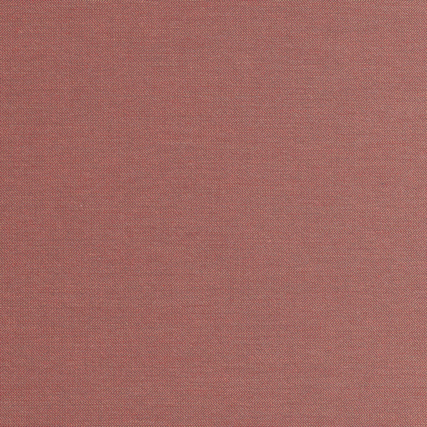 00A48 Asgard Rose