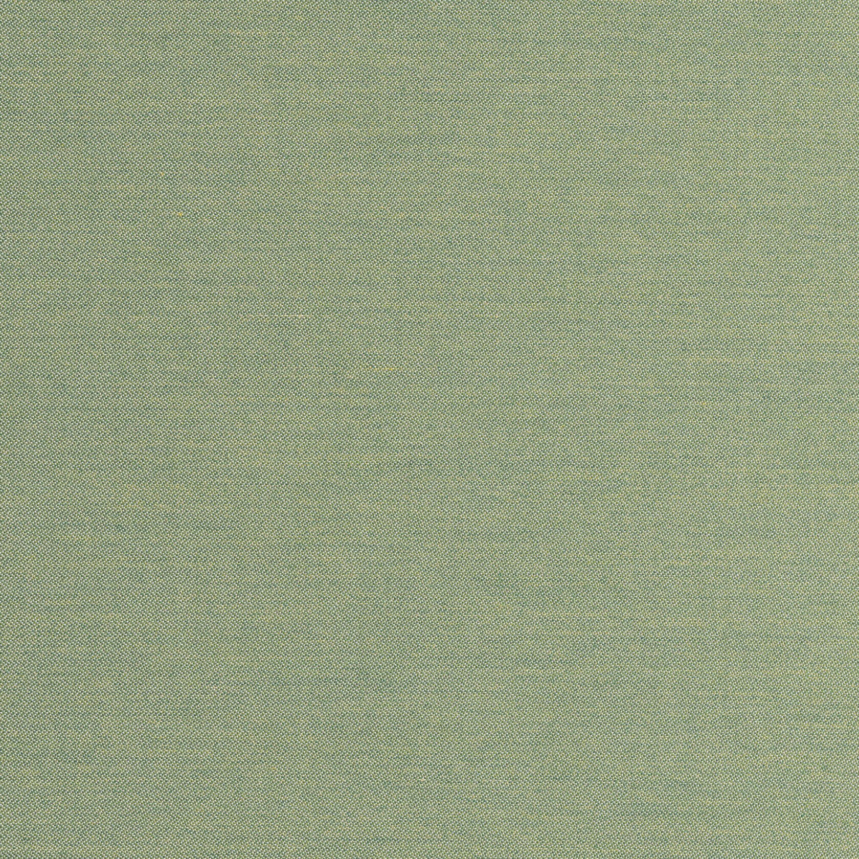 00A49 Asgard Grass