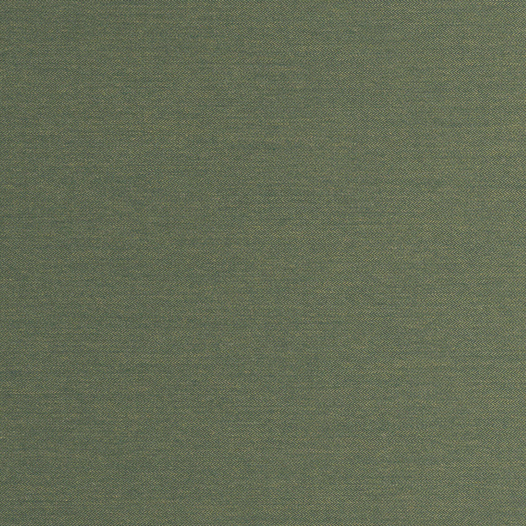 00A50 Asgard Fern