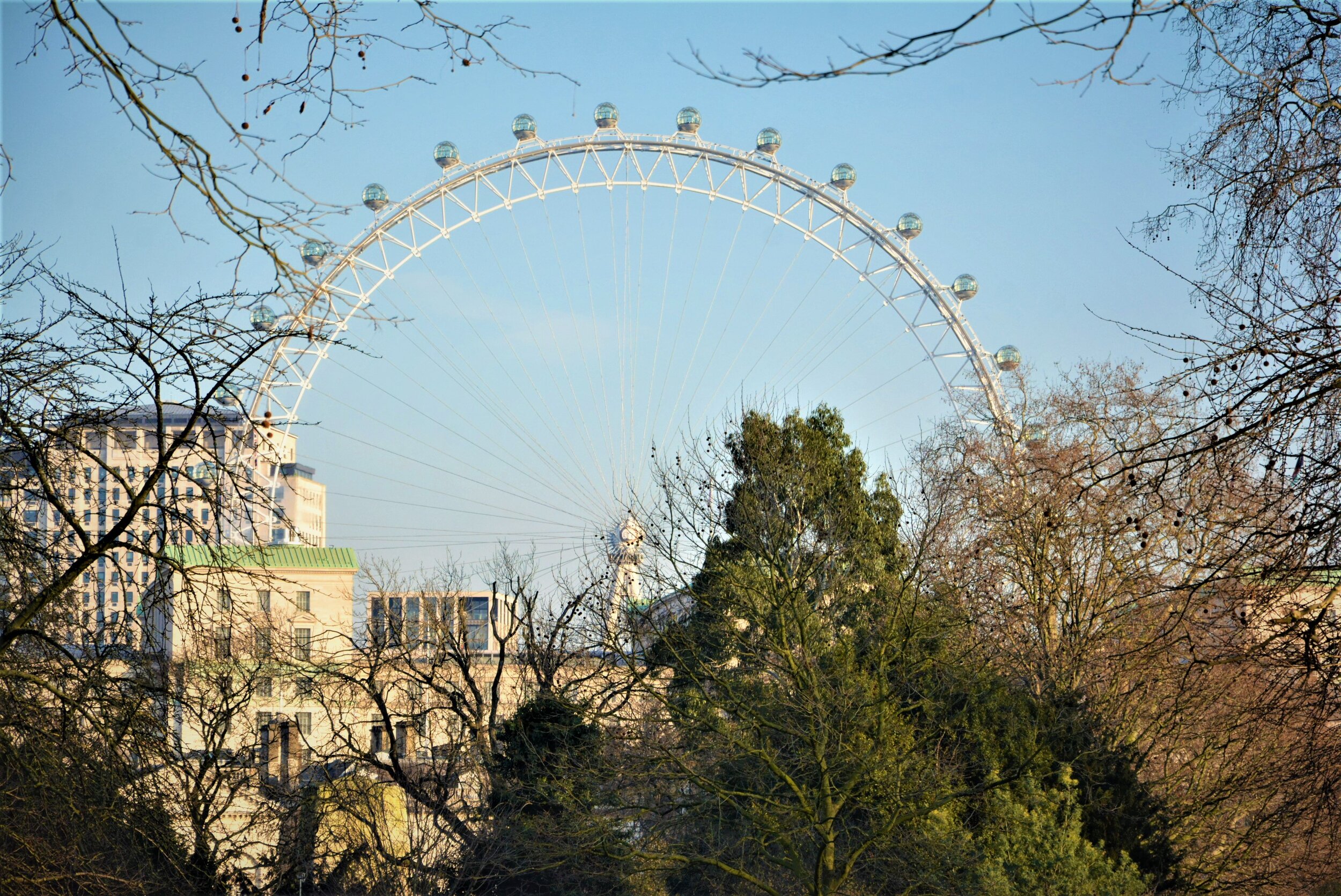 Royal Park, London UK III