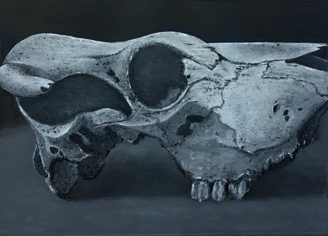Skeleton Still Life