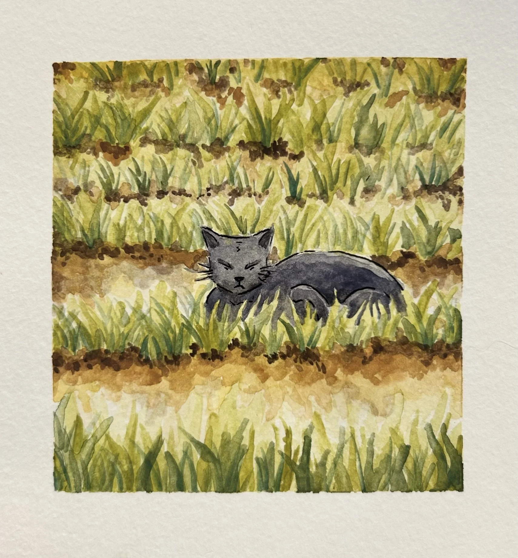 The Only Scribe in the Family