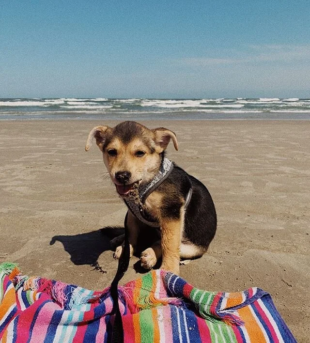 10 weeks old and already addicted to seaweed :/ being a mom is hard