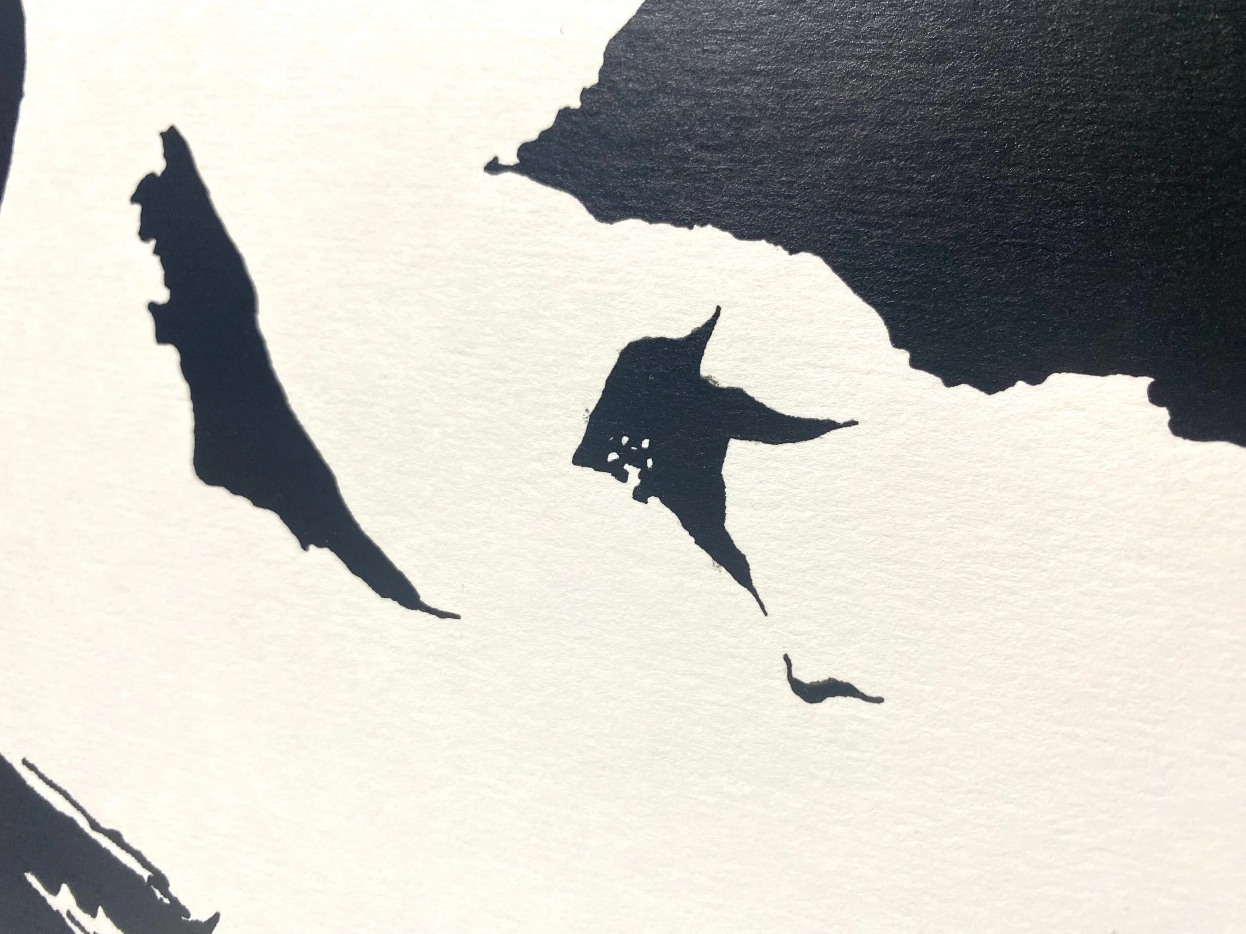 517A41D5-D03E-442B-8A2B-E844A0F56D7E