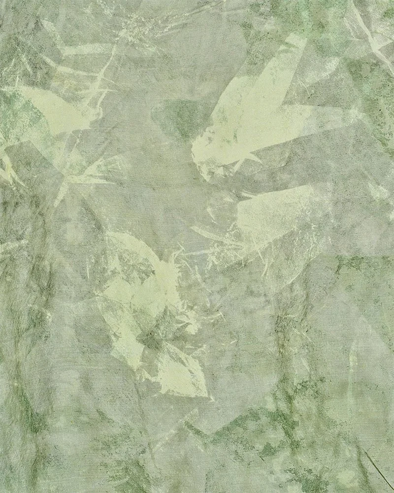 The toucan, close up, screen print on silk, 45 x 67cm, Janine Saul, 2025.jpg