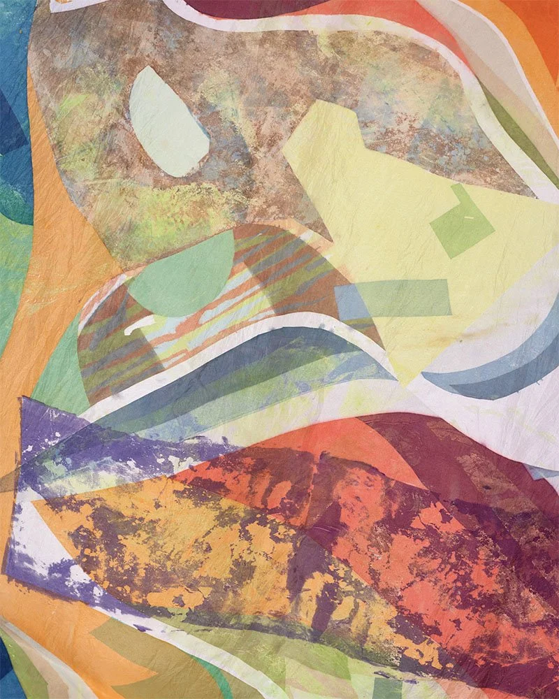 Rainbow Serpent - simplicity in the walk, close up, screen printed on silk, 137 x 229cm, Janine Saul, 2025.jpg