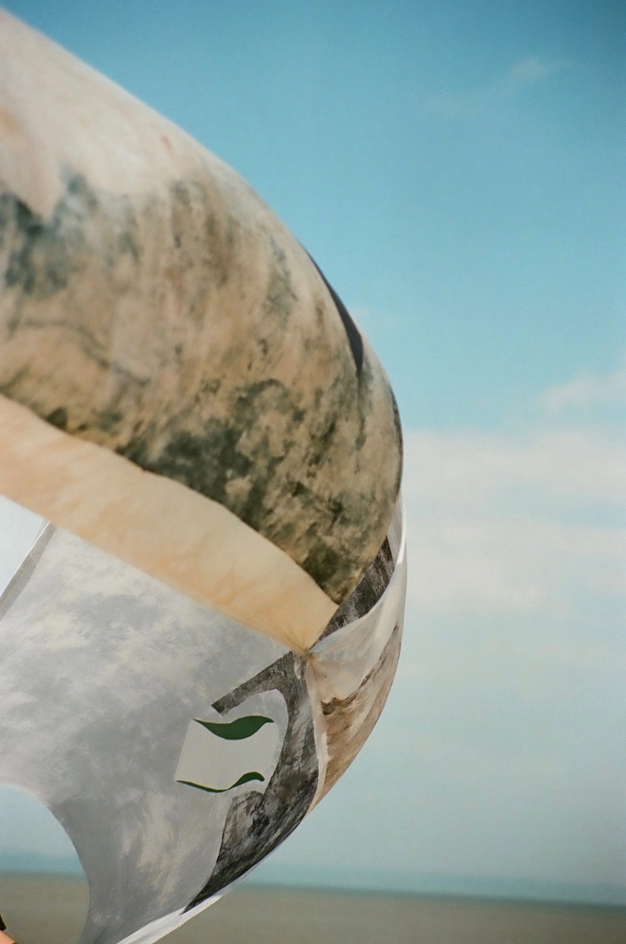 Close-up of a seashell with sand and sky in the background.