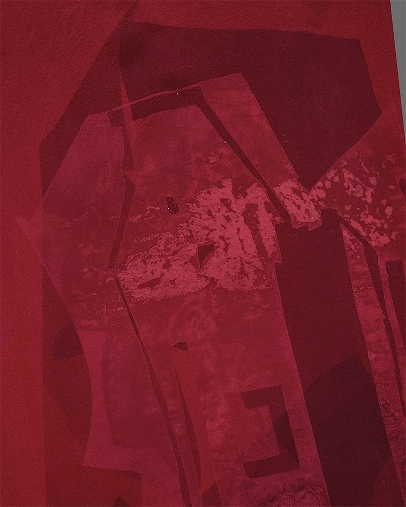The berry, close up, screen print on silk, 101 x 140cm, Janine Saul, 2025.jpg