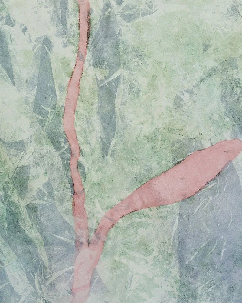 The pond of devotion, close up, screen print on silk, 137 x 108 cm, Janine Saul, 2025.jpg