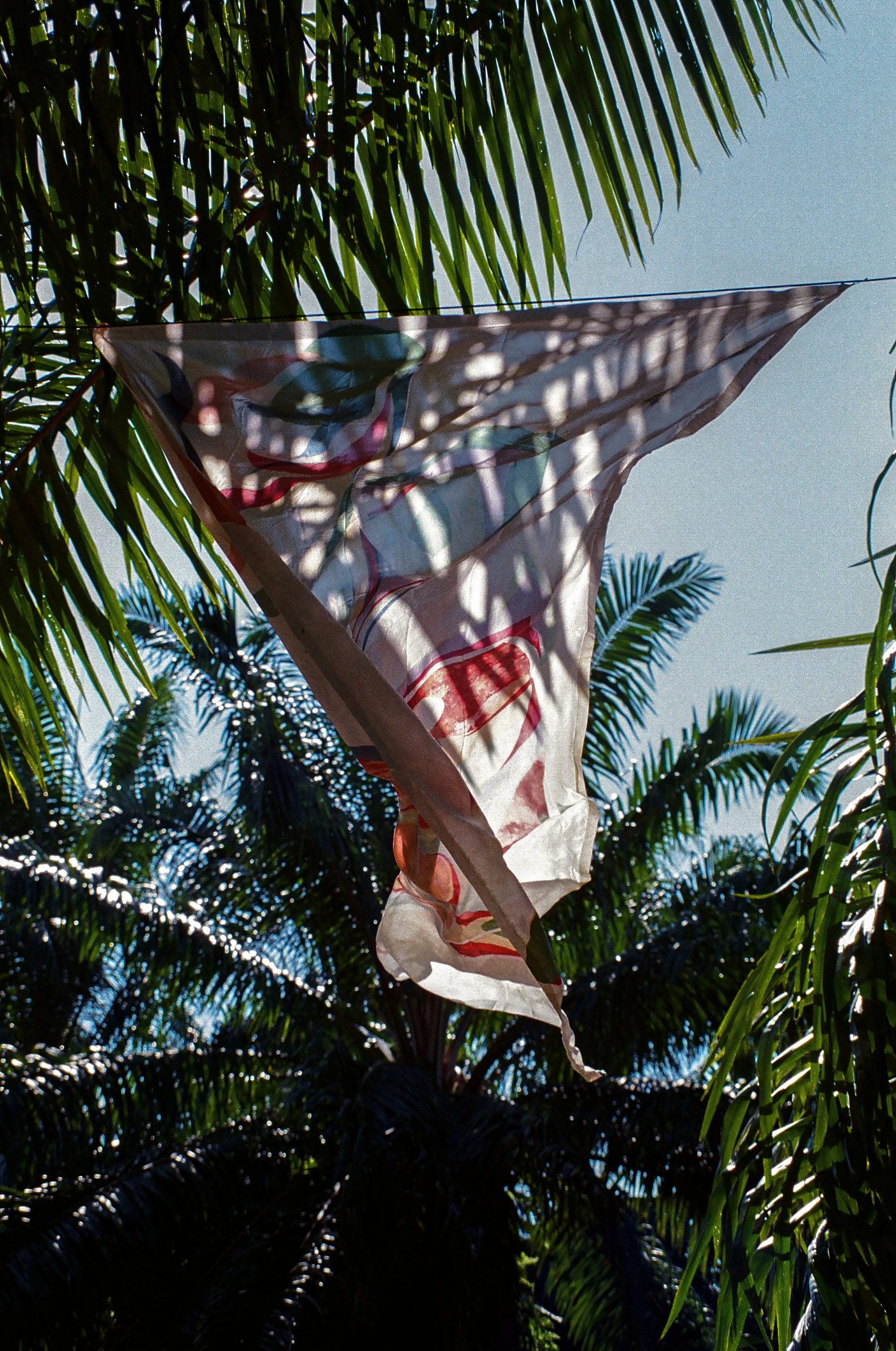 A tattered flag hanging from a string, surrounded by palm tree leaves, with sunlight casting shadows through the fabric.