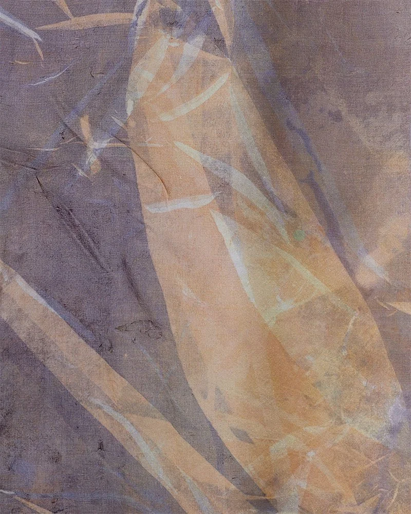 The protected hours, close up, screen printed on silk, 45 x 68 cm, Janine Saul, 2025.jpg