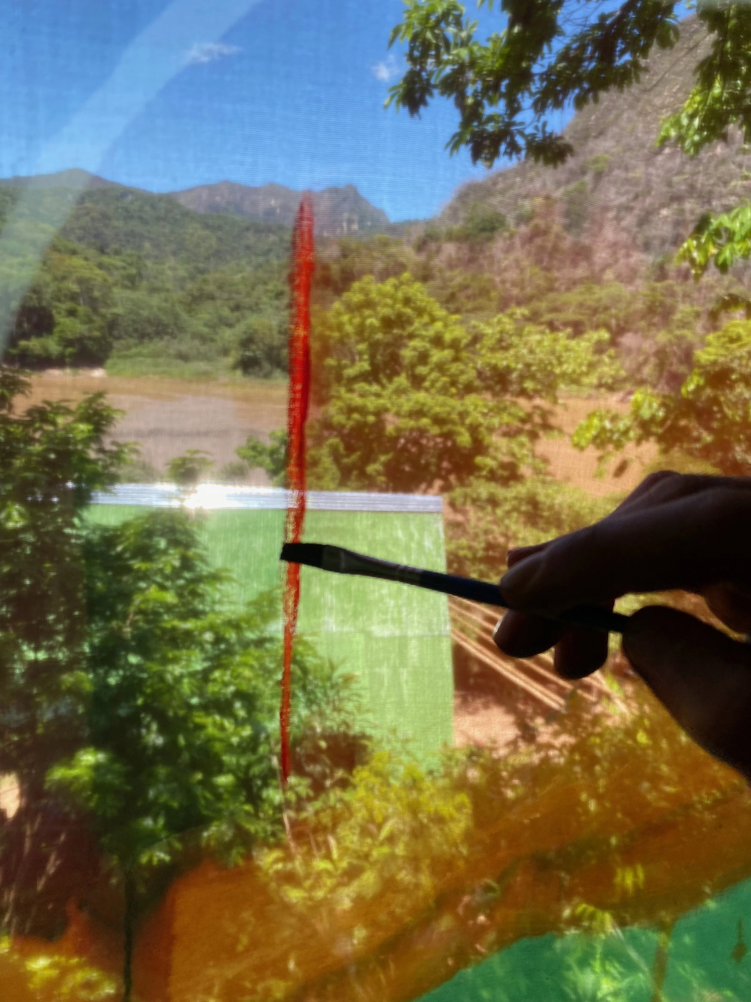 View of a landscape with mountains, trees, a river, under a partly cloudy blue sky, seen through a screen mesh with a red vertical line dividing the view and a person's hand holding a stick in the lower right corner.