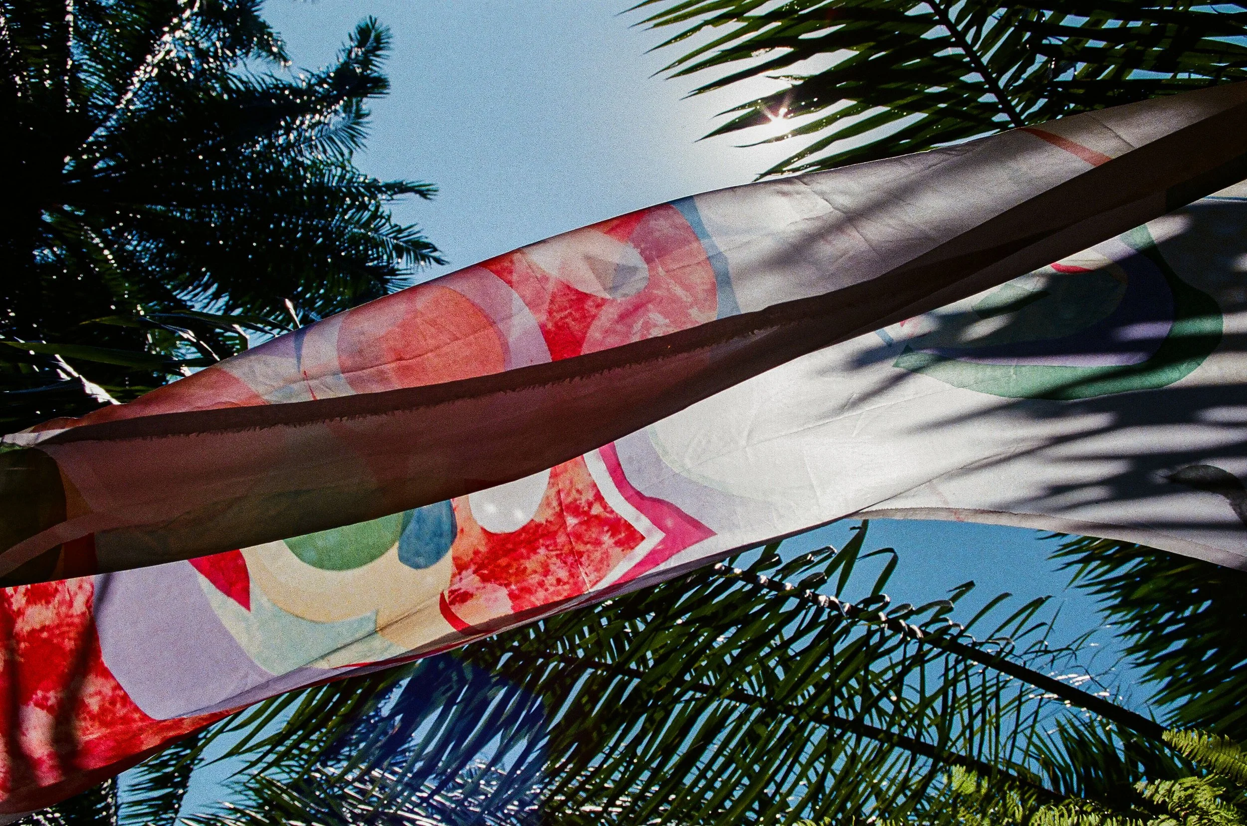 Colorful paper banner hanging among palm tree leaves against a bright blue sky with the sun shining.
