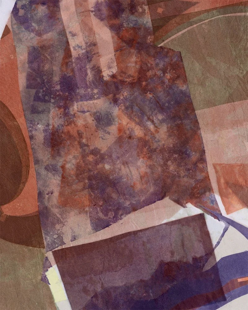 Beautiful struggle, close up, screen print on silk, 66 x 83cm, Janine Saul, 2025.jpg