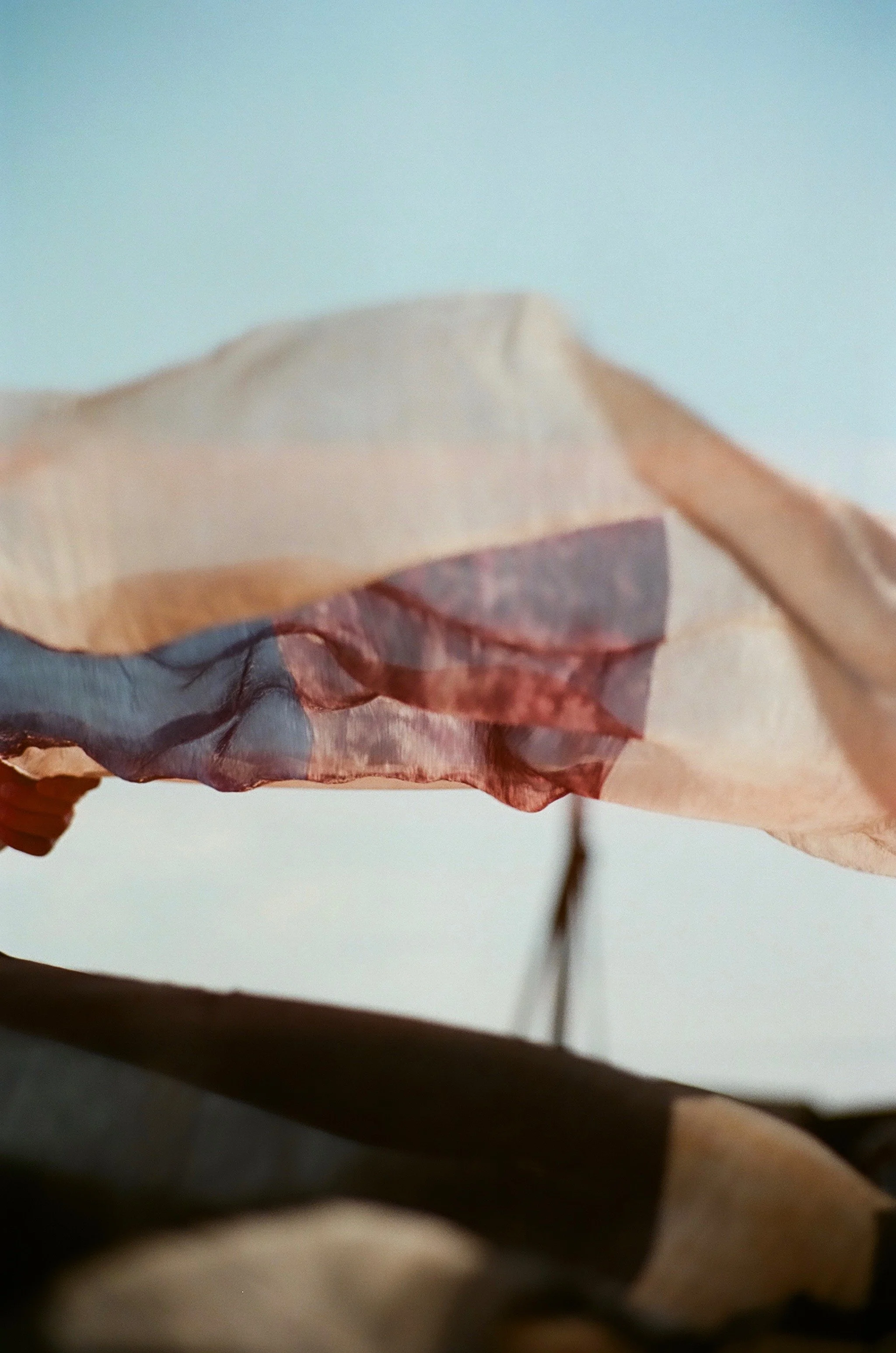 Close-up of a dried flower with crinkled petals against a light background.