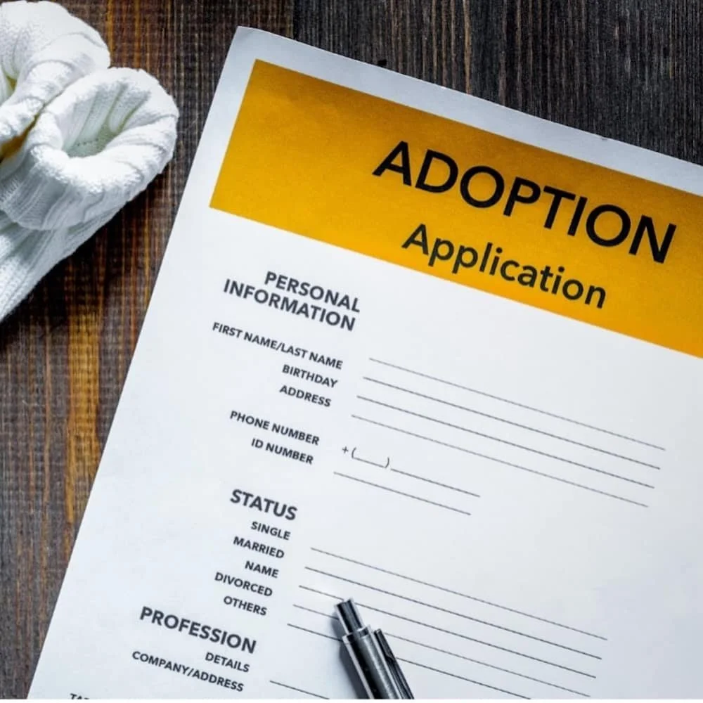 How Important is Terminology in Adoption?