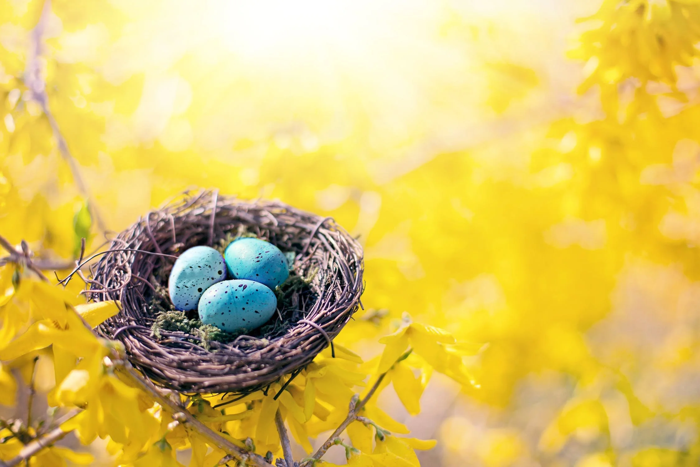 Spring Equinox Rituals, Health Tips & Recipes