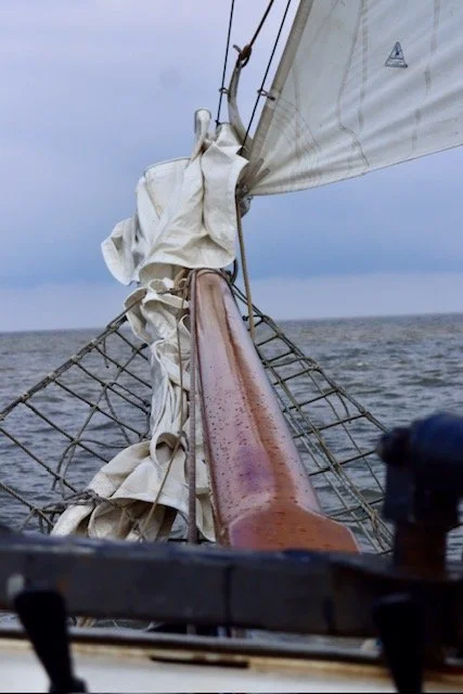 image4(1).jpeg