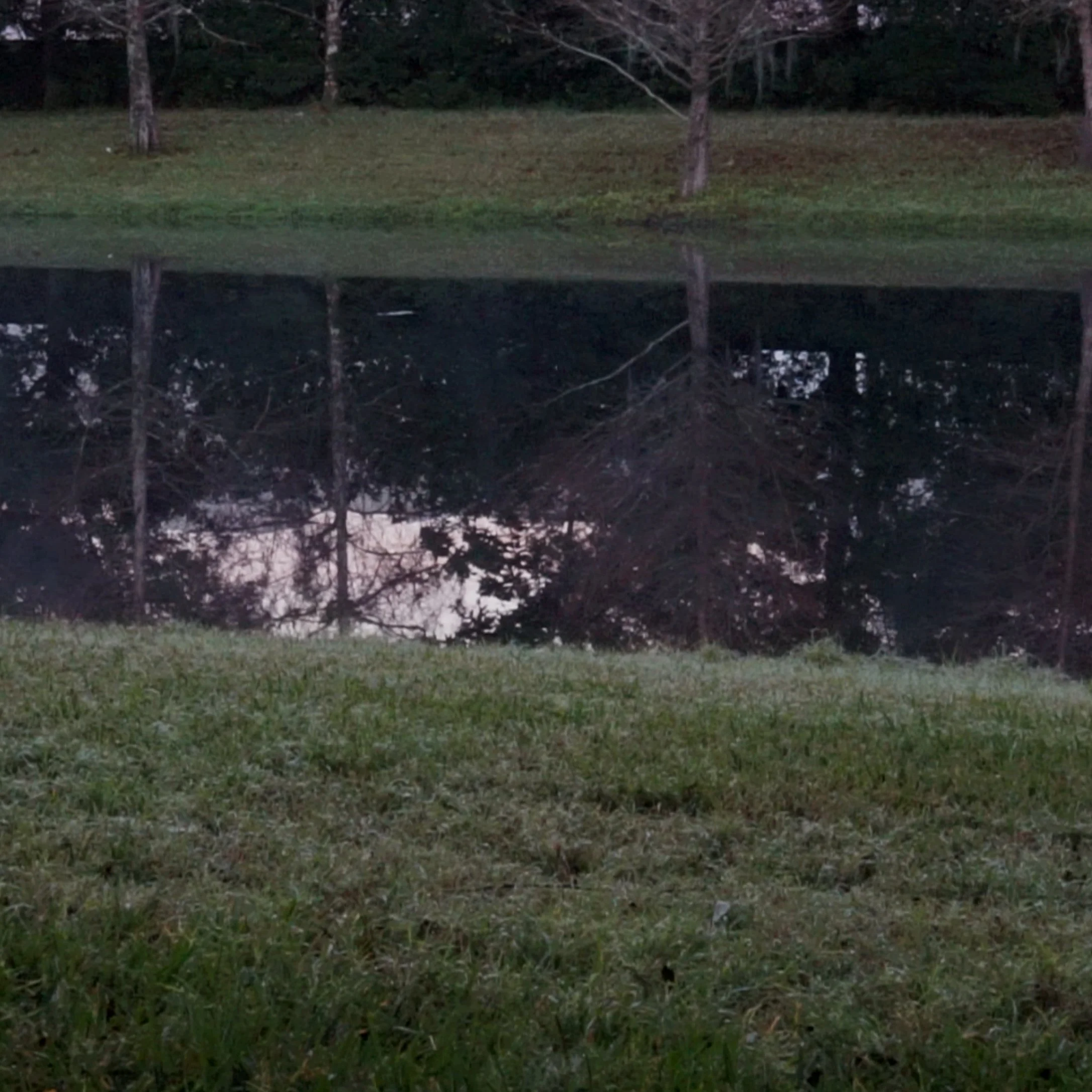 Screenshot 2023-12-14 at 3.32.29 PM.jpg