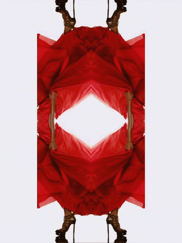 monarch_gif_05.gif