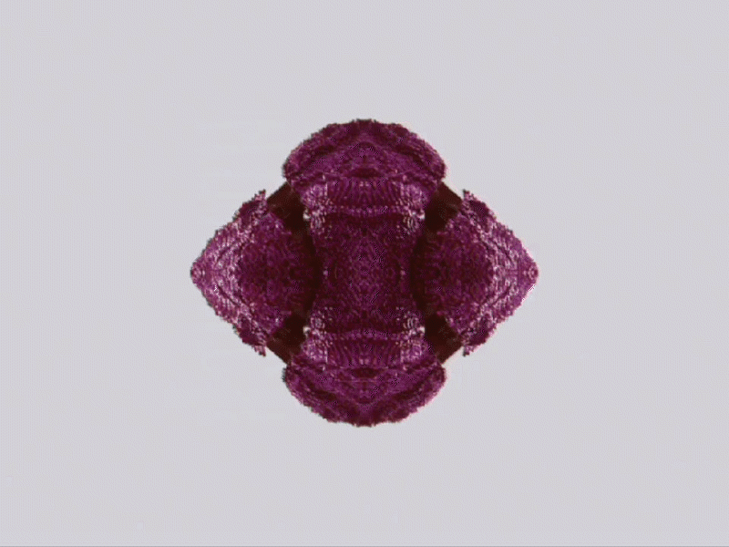 monarch_gif_01.gif