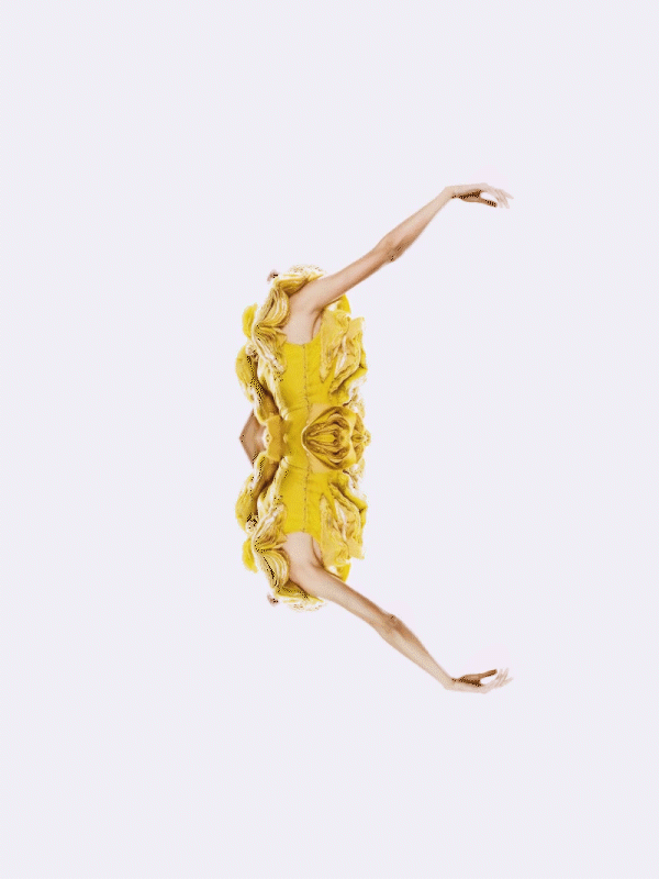 monarch_gif_06.gif