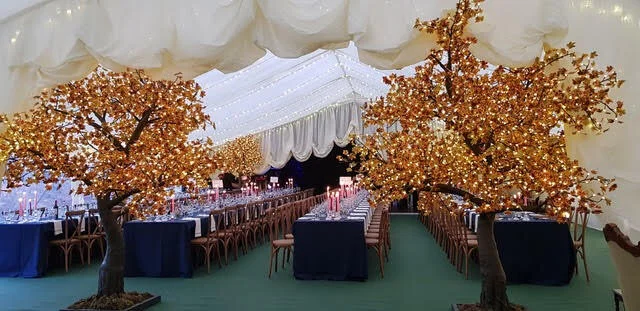 Riverhill Winter Wedding Marquee.jpg