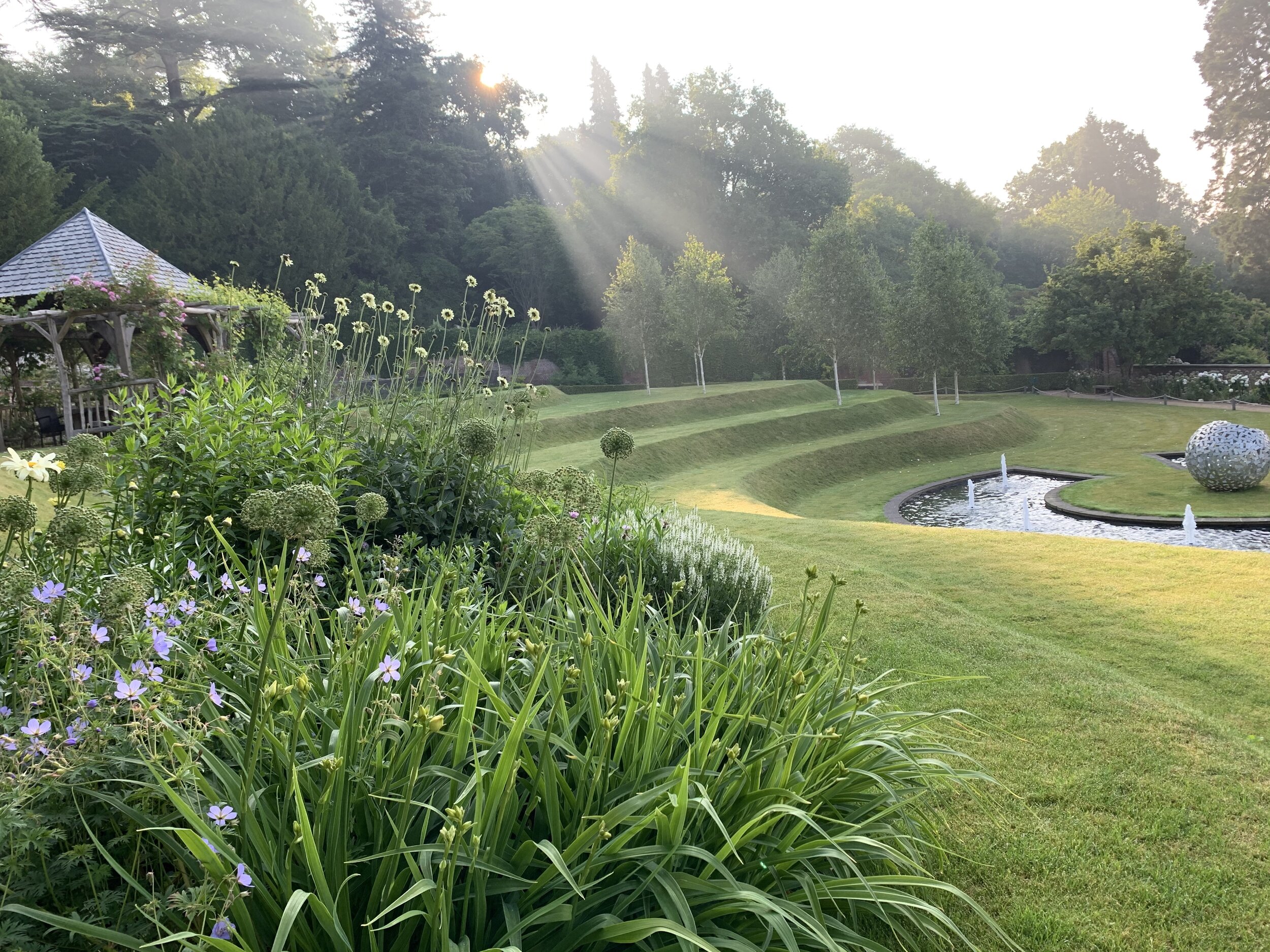 Our Walled Garden in the early morning light, 2019