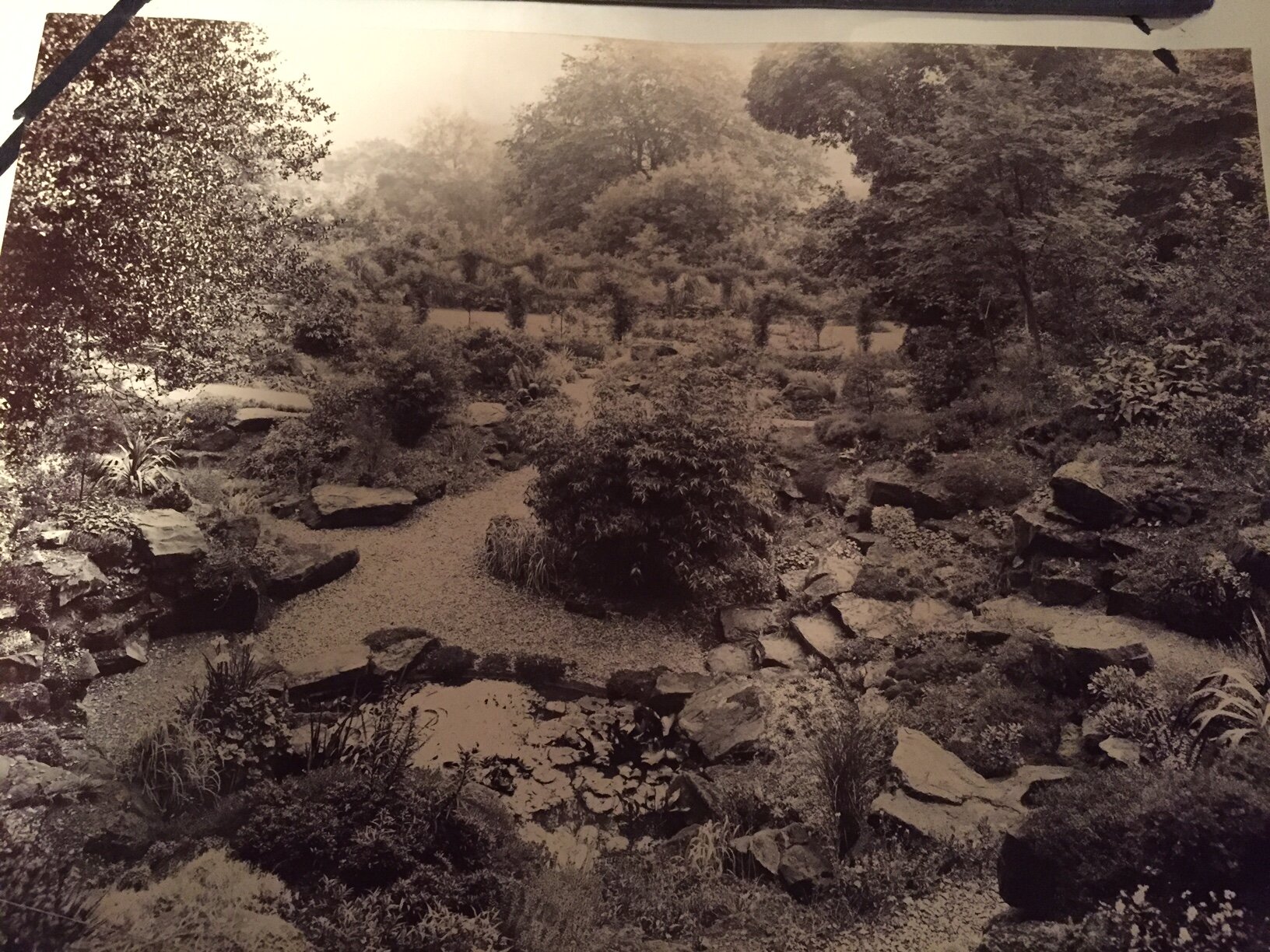The original Rock Garden 