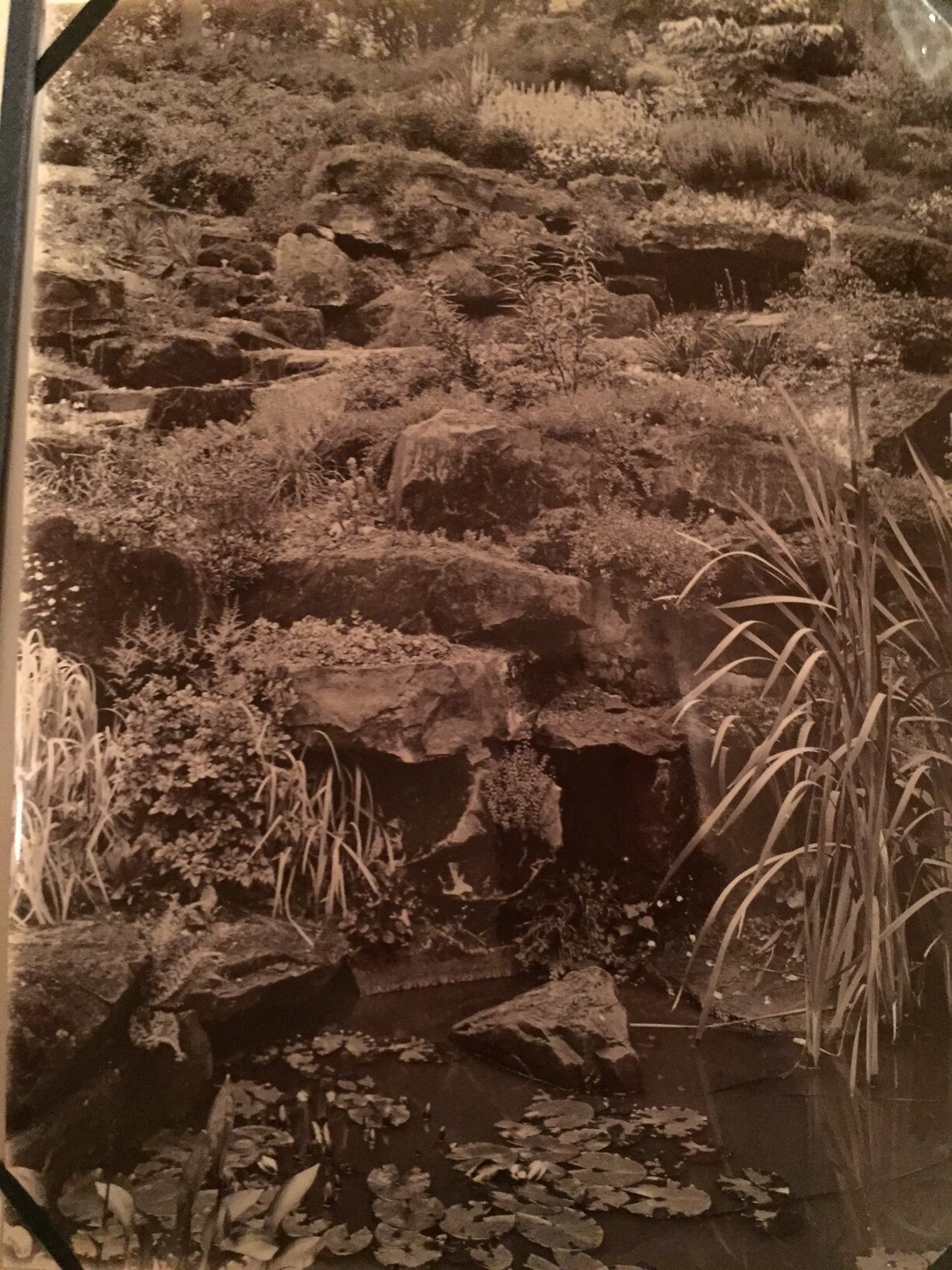 Original image of the Rock Garden