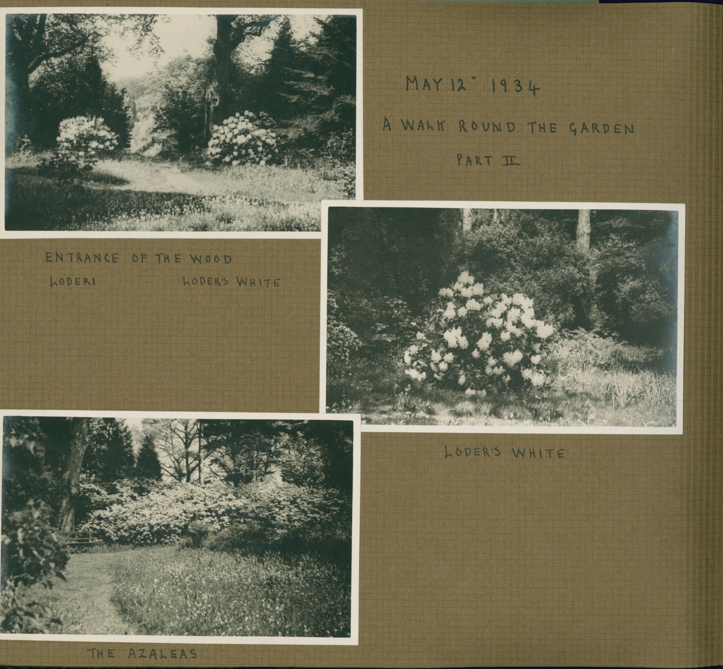 Images of the Wood Garden from 1934