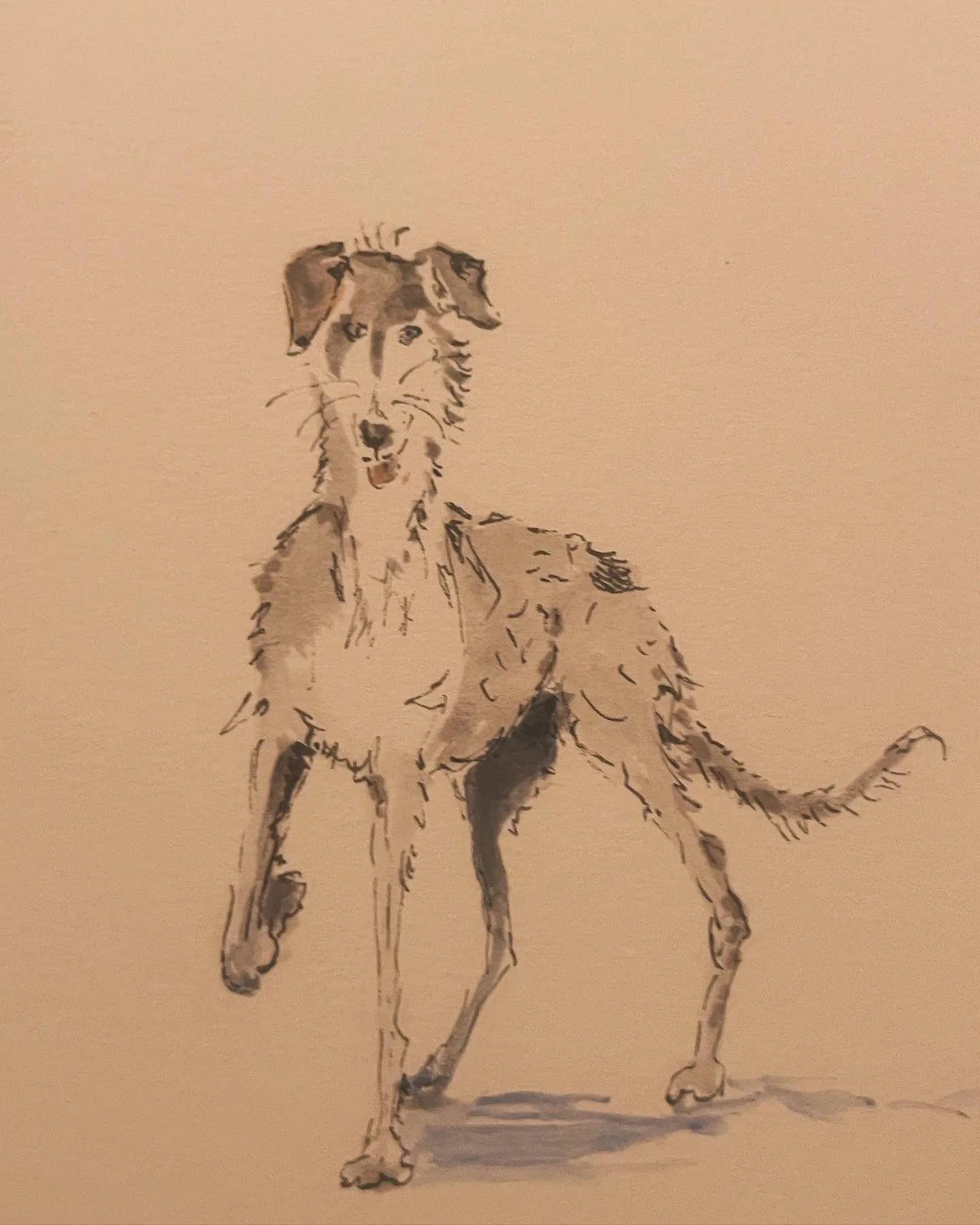 Artist Abbie Hart will draw your dogs - Part of Art in June