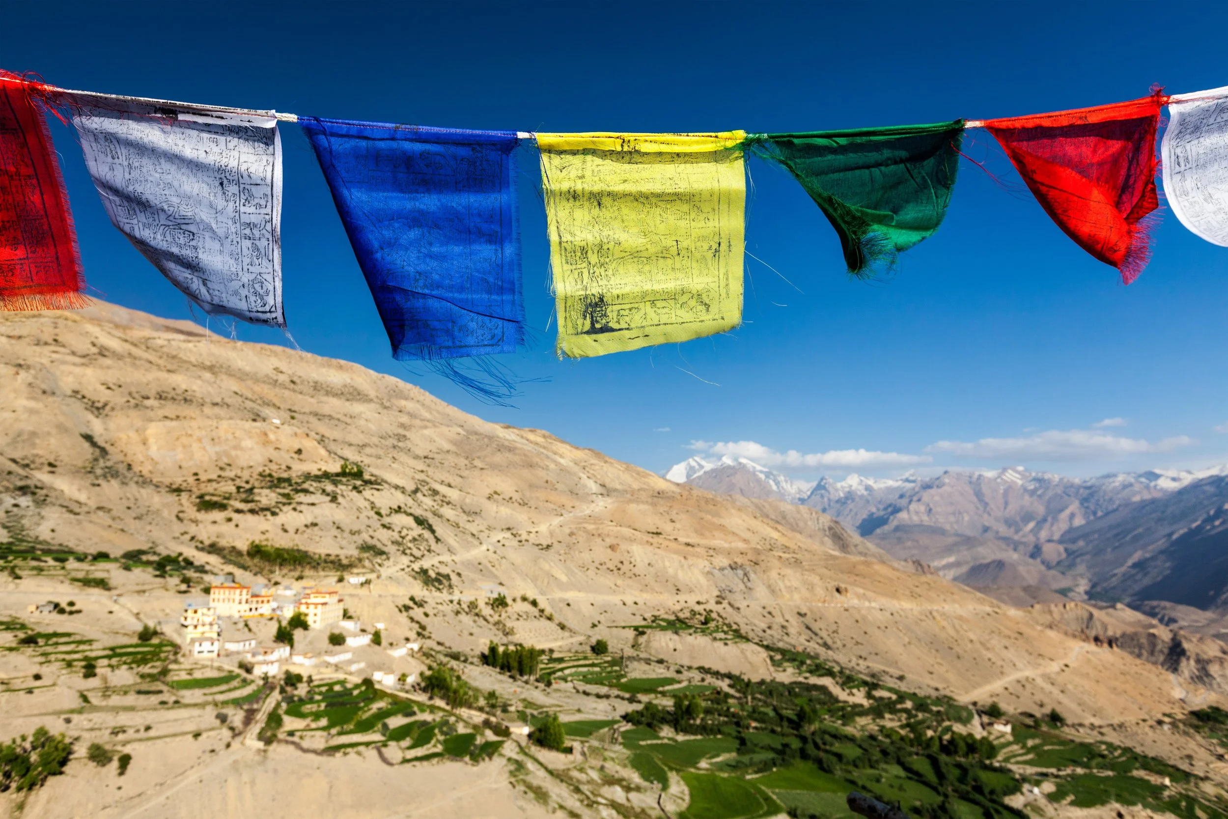 A Himalayan Summer at Riverhill: 20th July - 1st September