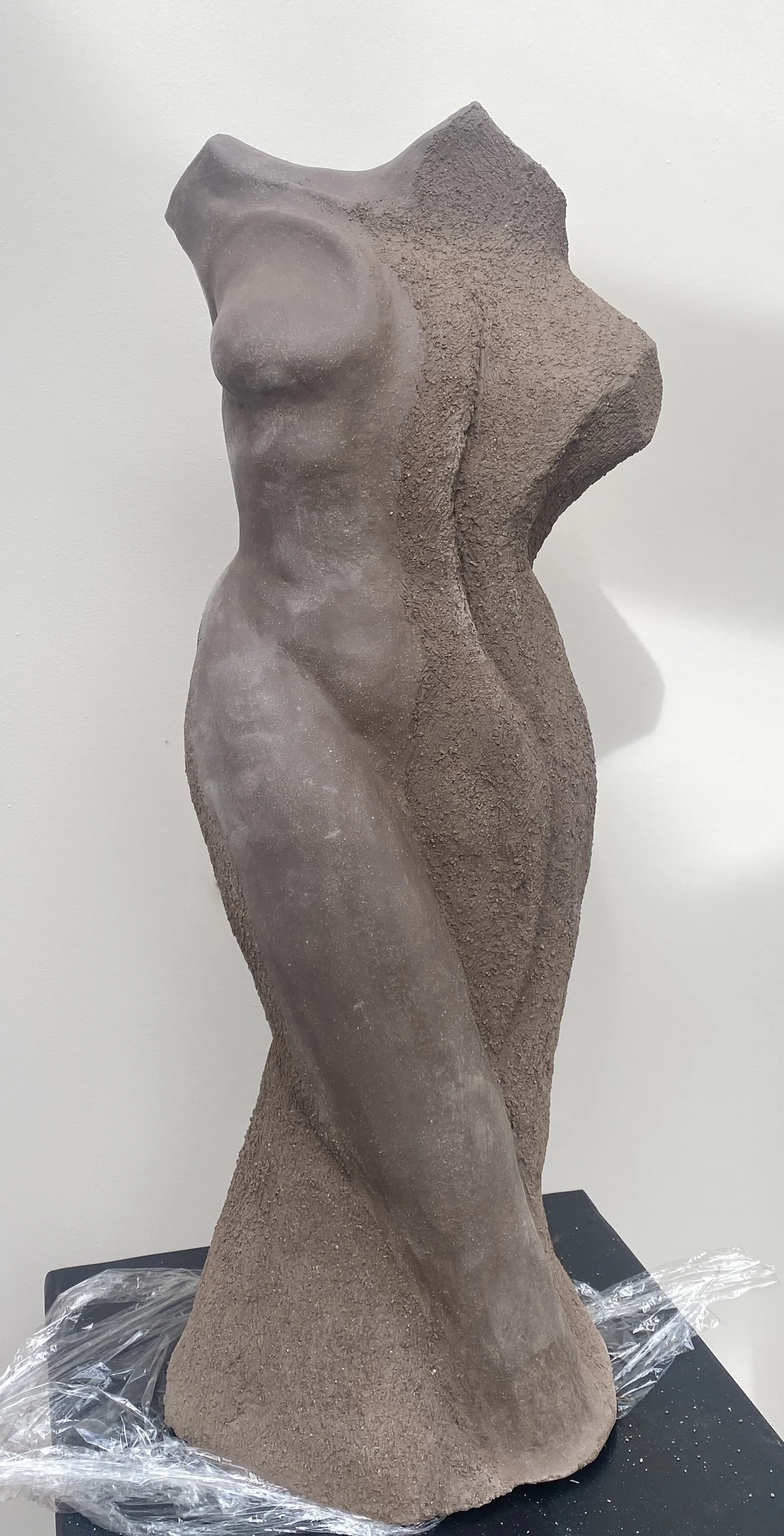 10. BARBER_MIRANDA_EMERGENCE (clay 2).JPG