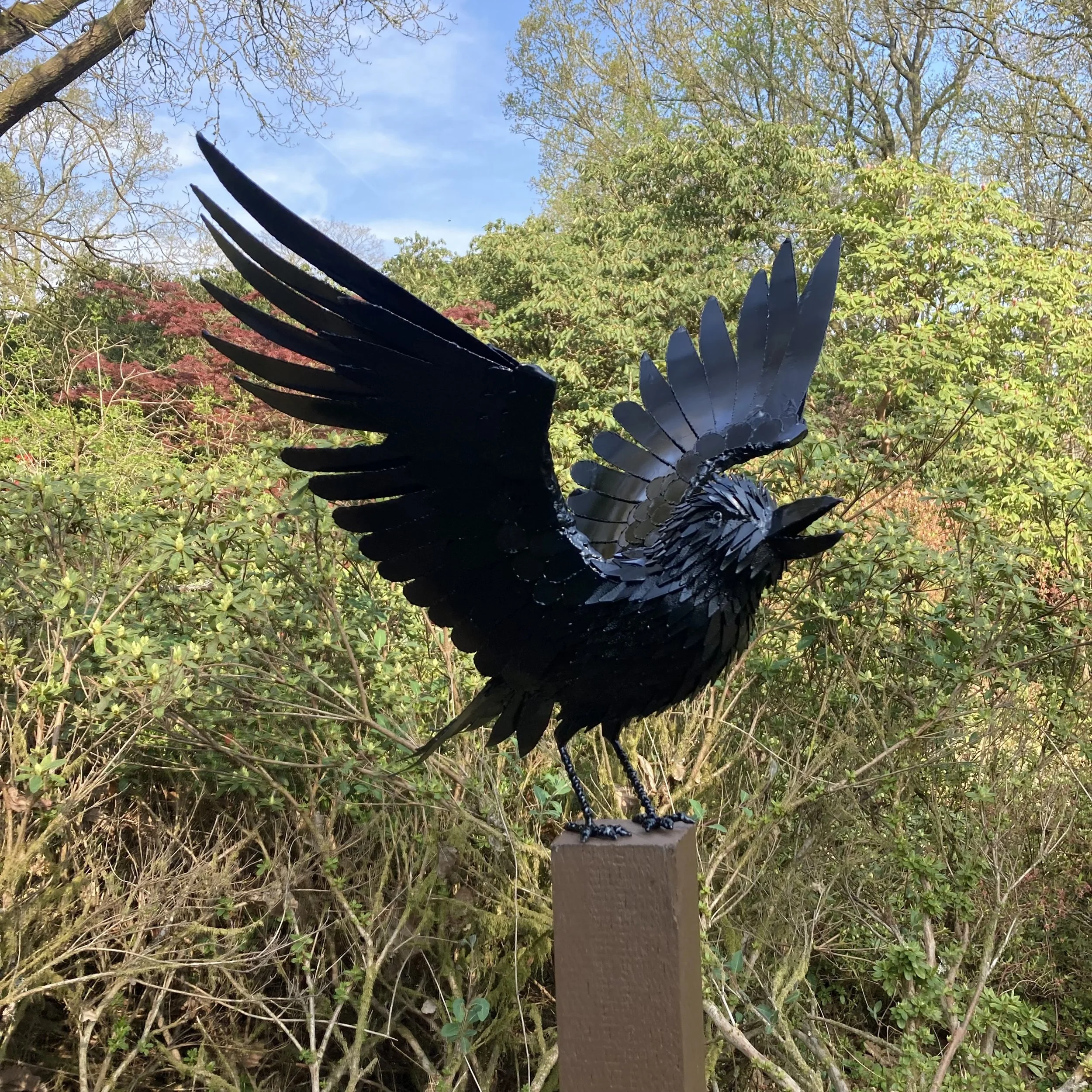 53. Catchlove-Alison- Winged Crow.jpg