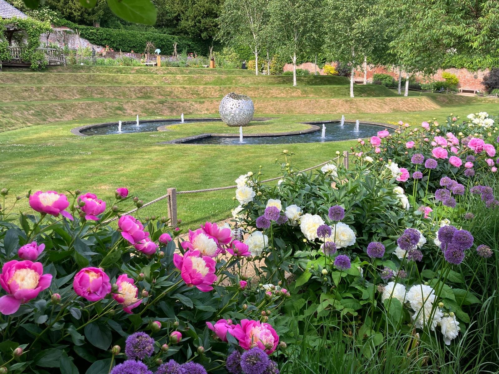 Alliums & Peonies: Out now in the Walled Garden