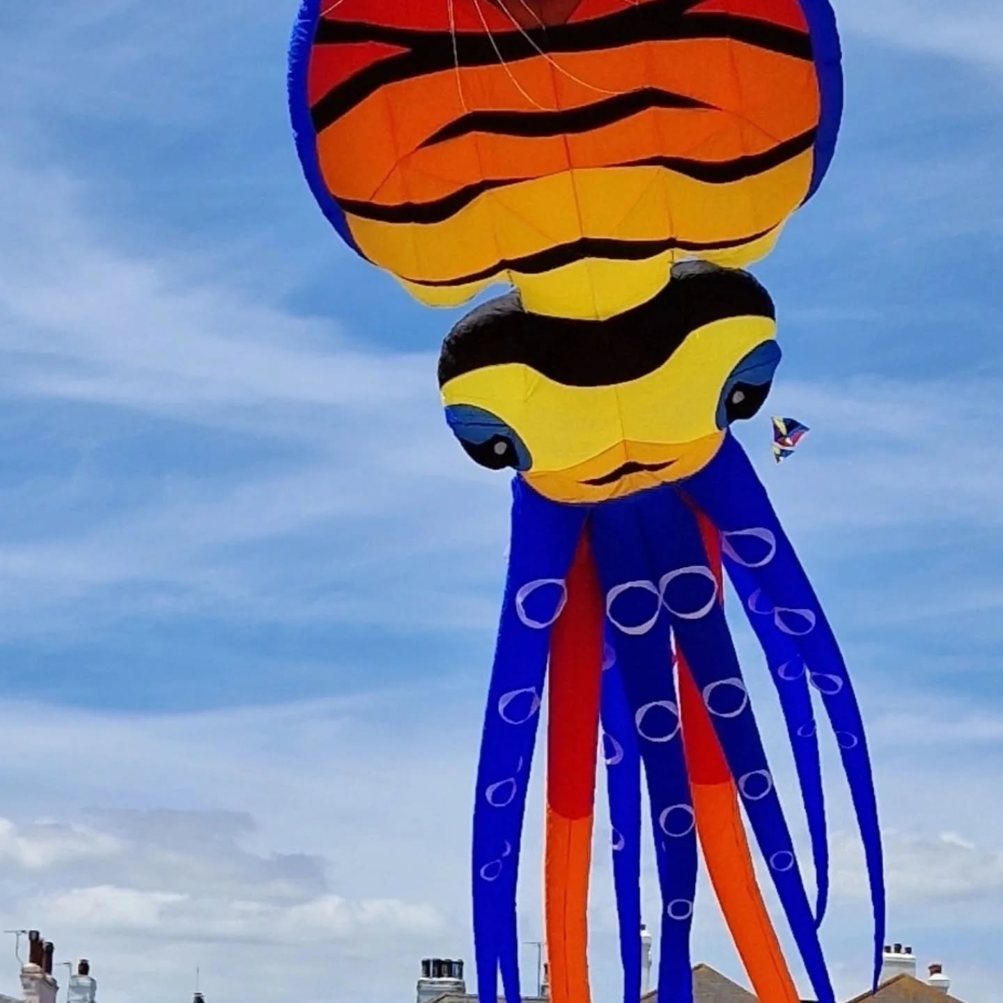 Kites today ! So excited for this....The Kent Kite Fliers will be on the old tennis lawn 11-5 TODAY. 

You can watch the bigger kites from the lawn. Some smaller ones will be flown from the lawn itself and the kite fliers will be there to answer ques