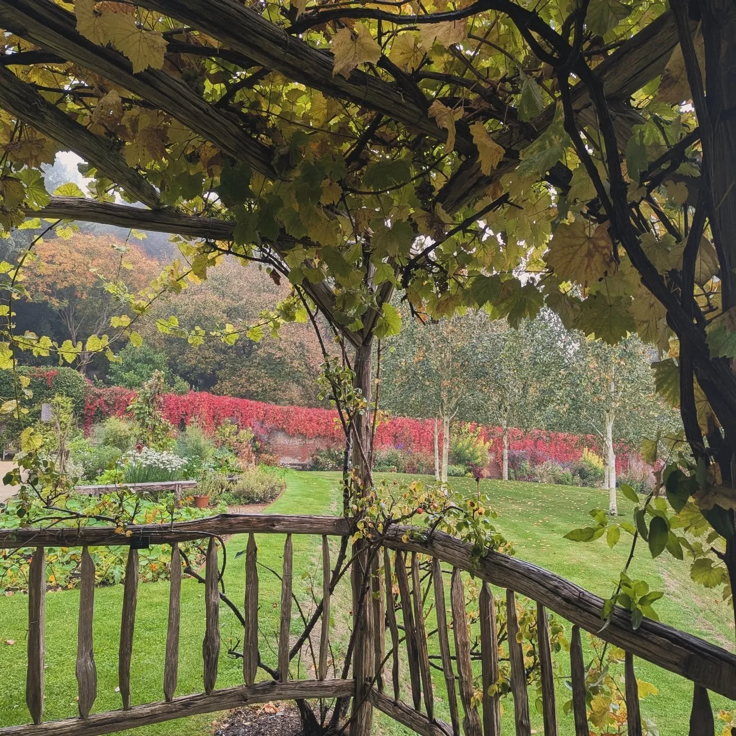 Proper mizzly Autumn outside...feels like an appropriate time to get excited for the PUMPKIN FESTIVAL....The build has officially  begun....The grotto doors will creak open on the 18th of October. We are then open Wednesday to Sunday until Sunday 2nd