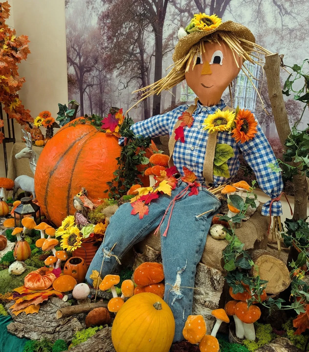 Today is the day !!! The Pumpkin Festival is go!!! 

Come and enjoy the grotto, get snug and carve your pumpkins, visit the witch,  do our pumpkin trail and enjoy the gorgeousness of the gardens in Autumn.

Hope you love it x 

(Huge thanks to the be