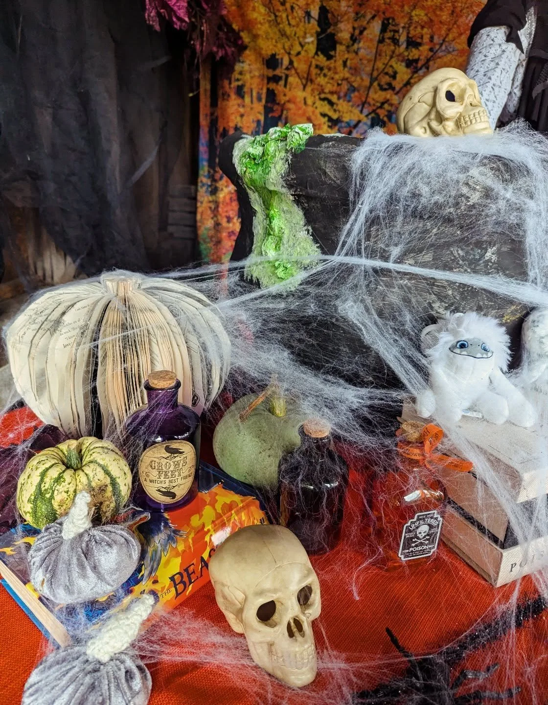 PUMPKIN FESTIVAL IS ON!!!! We are OPEN for all the Pumpkin based fun! 

Such a cosy, family friendly thing to do this half term.... See you in the grotto x

(Full info is on the website)

______________________________________________________________
