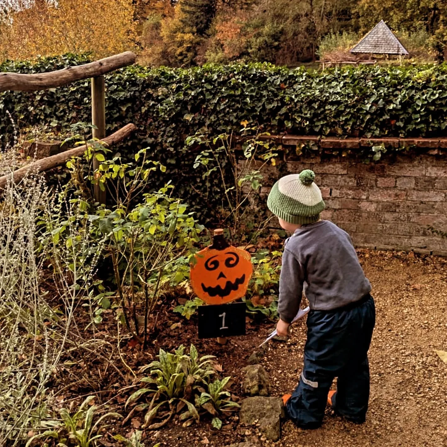 Happy Halloween pumpkin fans !!! Come and be spooooooky with us today...Carve your pumpkin ready for tonight , do the Pumpkin trail (because you can never have enough treats! ) and enjoy all the beautiful autumn colour 🎃 

Only 3 days left of our 20