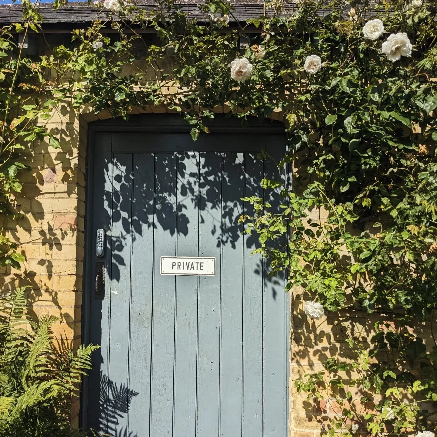 The Gardens, Shop and @malabar_sevenoaks at Riverhill Cafe are all now CLOSED for the season.

Save the date for our triumphant 2026 re-emergence on the 11th of March and start the countdown!

As always, we have had a jolly lovely time with you all, 