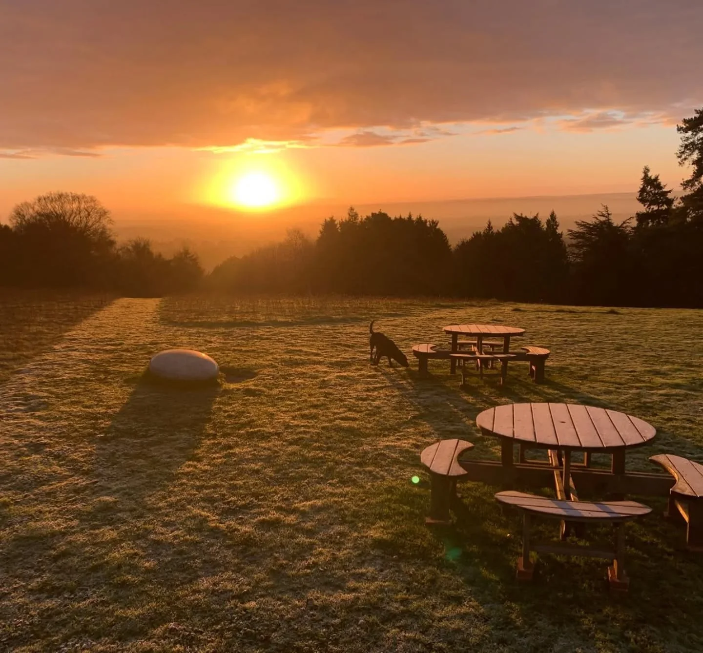 First frost.... time to hunker down and gather supplies.....

Tea ✅
Good book✅
Blankets✅
Cats / dogs / anything furry that gives off warmth ✅
Fire✅
Wooly socks✅

Stay snug friends x 

❄️❄️❄️❄️❄️❄️❄️❄️❄️❄️❄️❄️❄️❄️❄️❄️❄️❄️❄️❄️

#firstfrost #viewpoint #