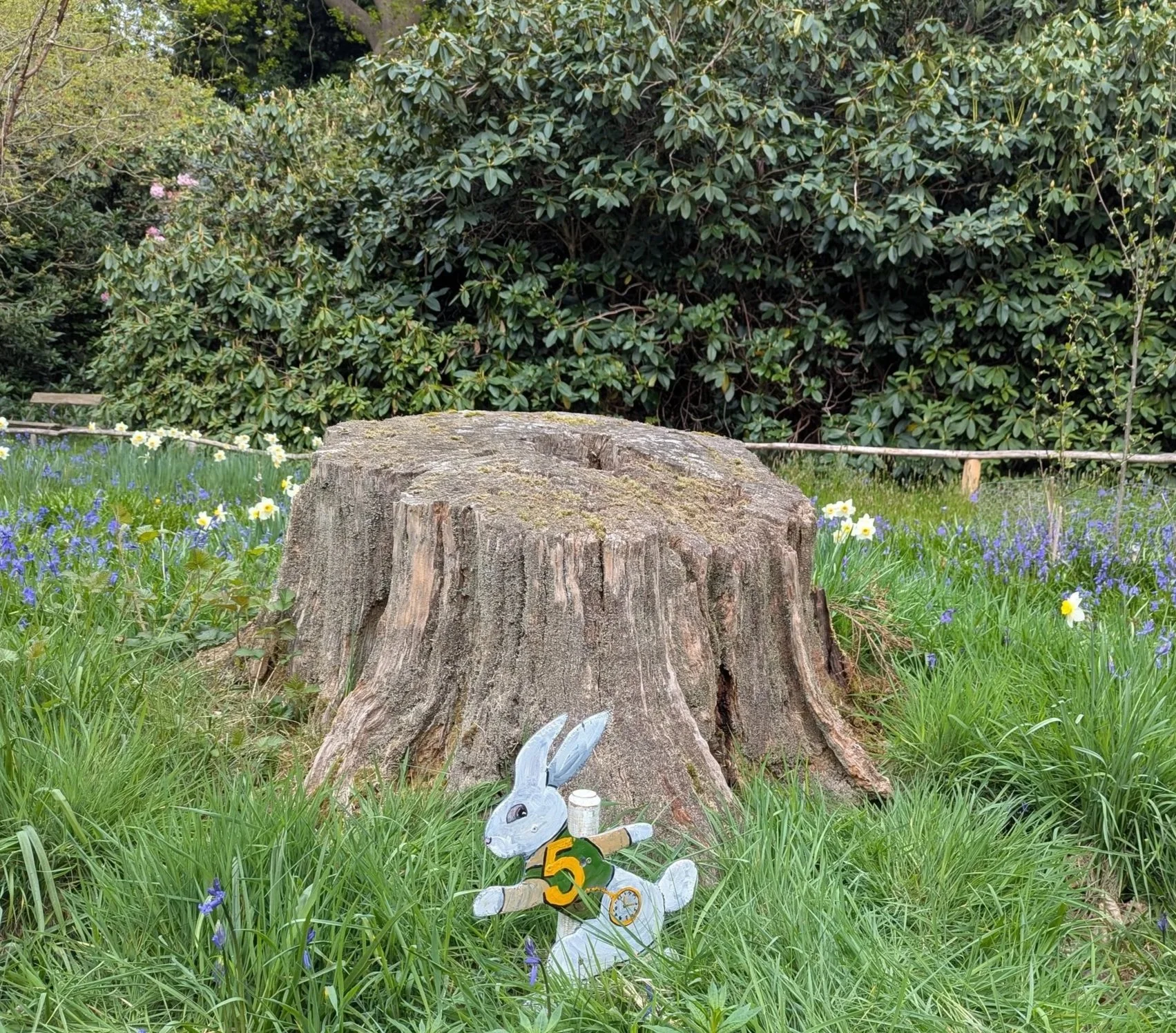 The Great Riverhill Bunny Hunt 