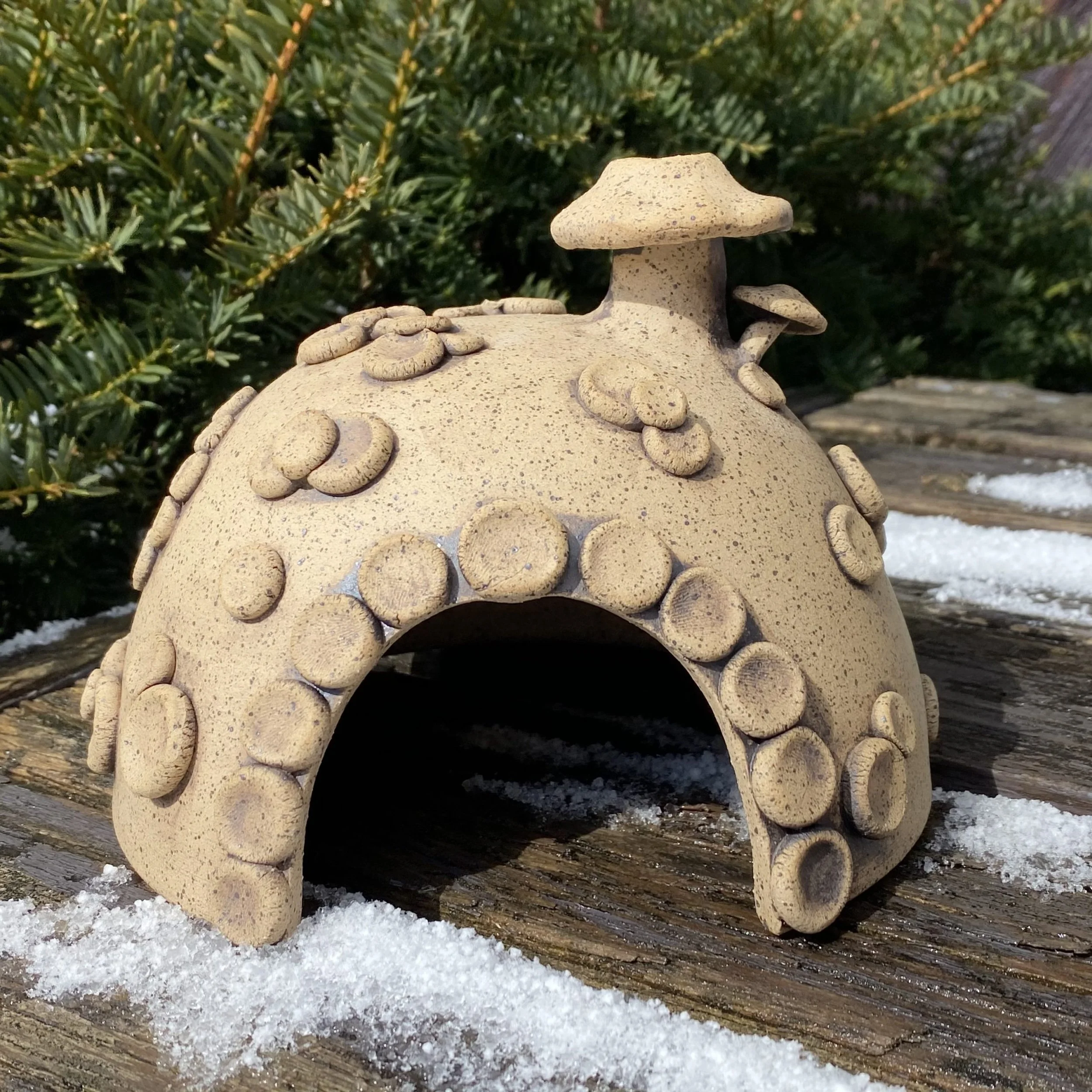 Summer 2026:  WEEK 6 - Toad Abodes