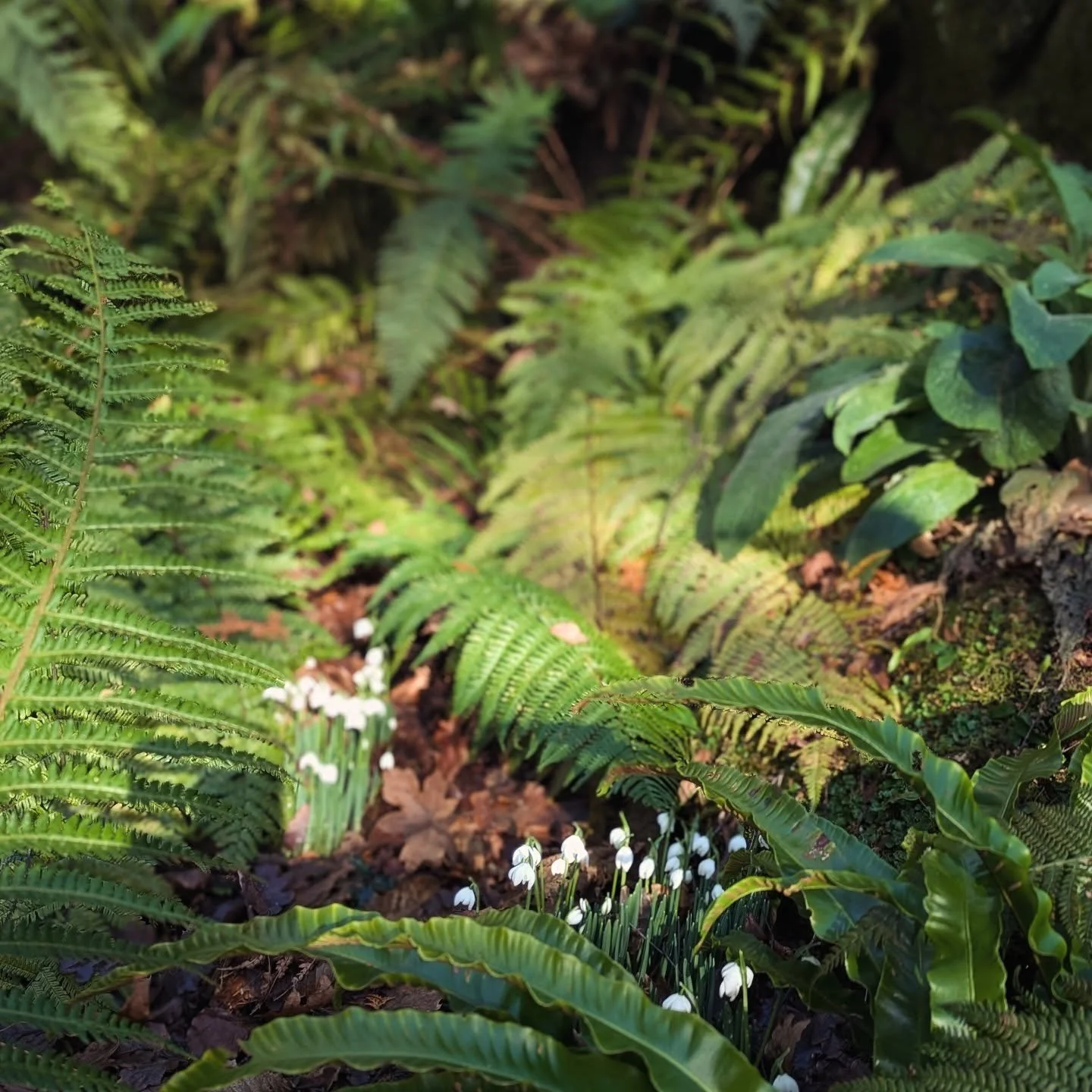 February !!! And this morning we took our very first Wedding booking for 2027. Exciting new beginnings all round x Hope is returning!

____________________________________________________________________

#sevenoaks #kent #hopereturns #weddingvenueke