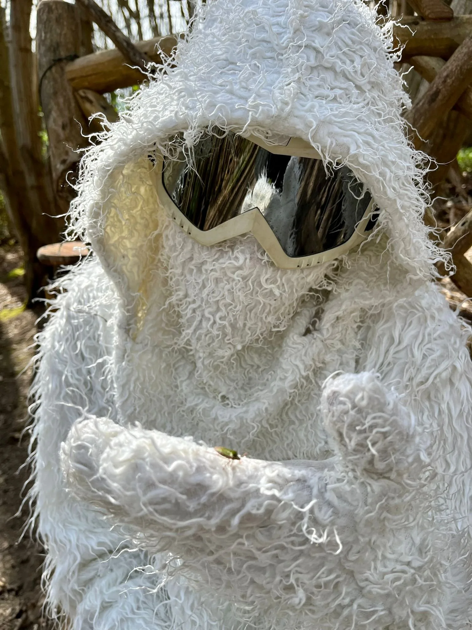 Yetis for 2026 Season