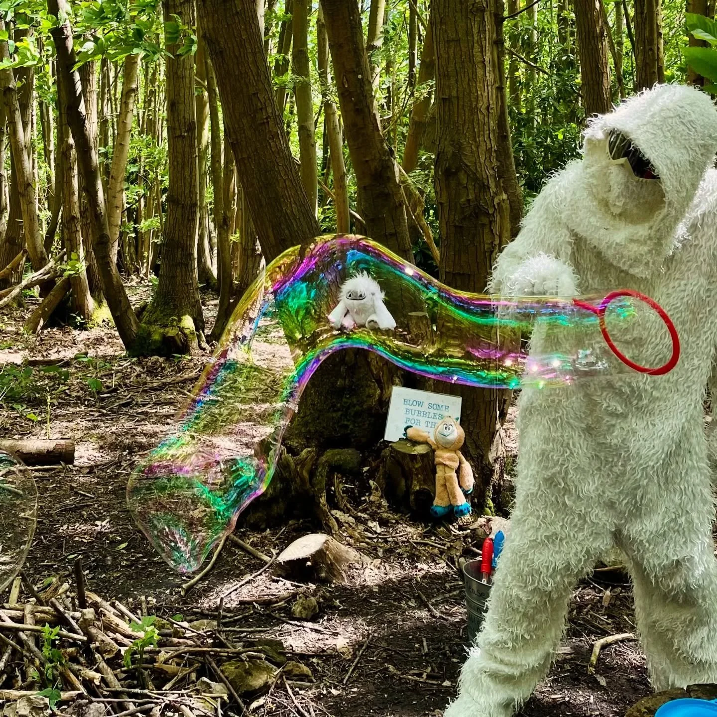 It's that time of year again when I advertise for new Yetis and everyone thinks I'm joking !!! 

We  are in actual real need of some high quality yetis for our 2026 season. 

The yeti is a much loved resident here and has many super fans! Yeti shifts