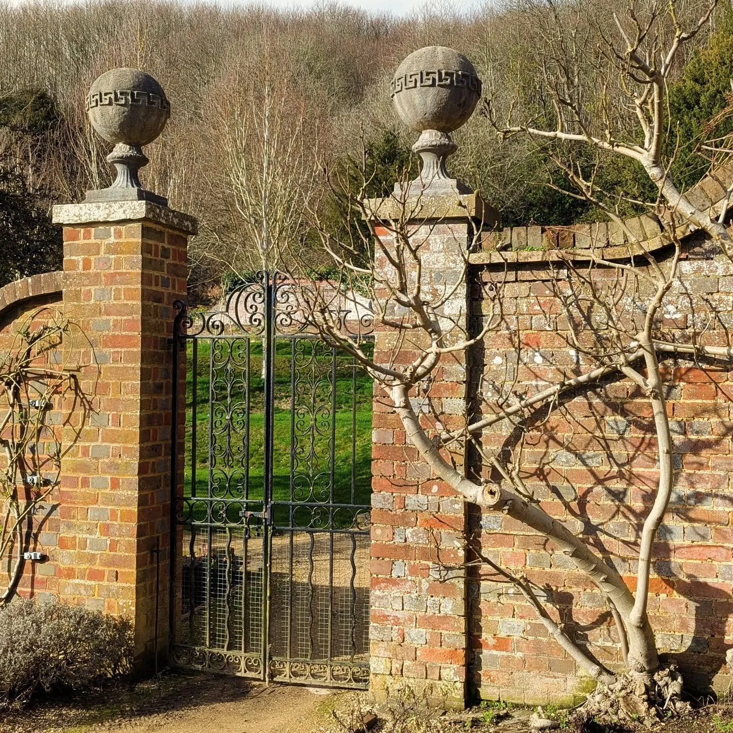 We open NEXT WEEK!! On Wednesday the 11th of March we will be flinging the gates open and welcoming you all back to see Spring beginning in the Gardens. 

We are all looking forward to seeing you immensely !!

#sevenoaks #kent #kentgardens #springgar